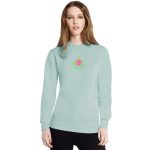 Organic-Cotton-Sweatshirt-Mens-Womens-Unisex-Mint-Green-Turtle-Design-2